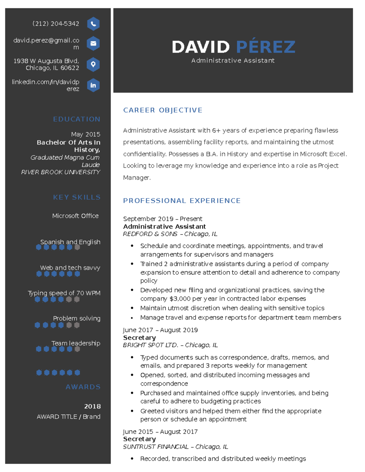 Everest Professional Resume Template Blue - Accounting for Business ...