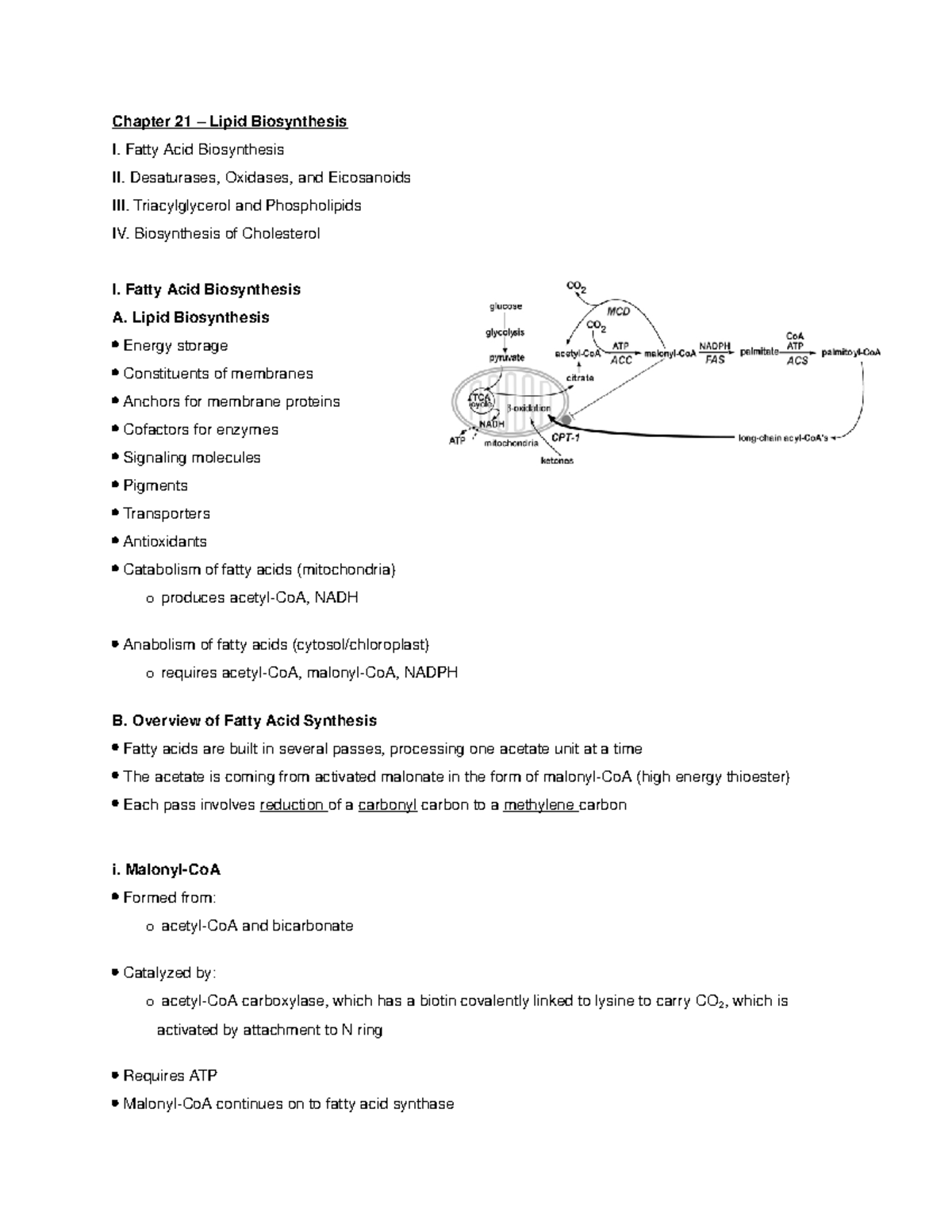 Ch 21 Medical Biochemistry - Chapter 21 – Lipid Biosynthesis I. Fatty ...