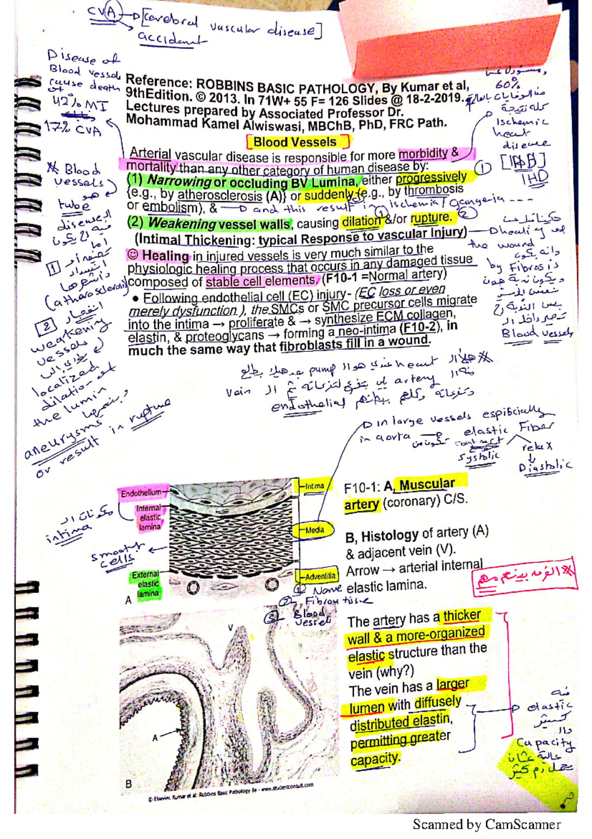 Note 1+2 - lectures - Medicine - Studocu