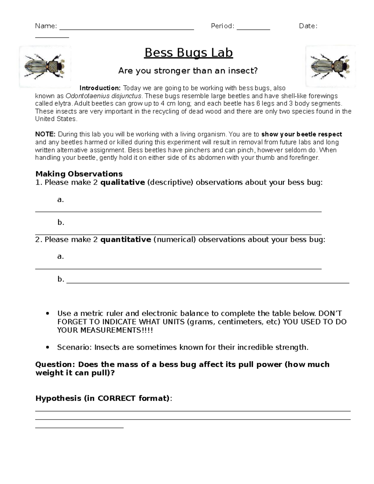 Cowger reg bio bess bug lab - Name ...