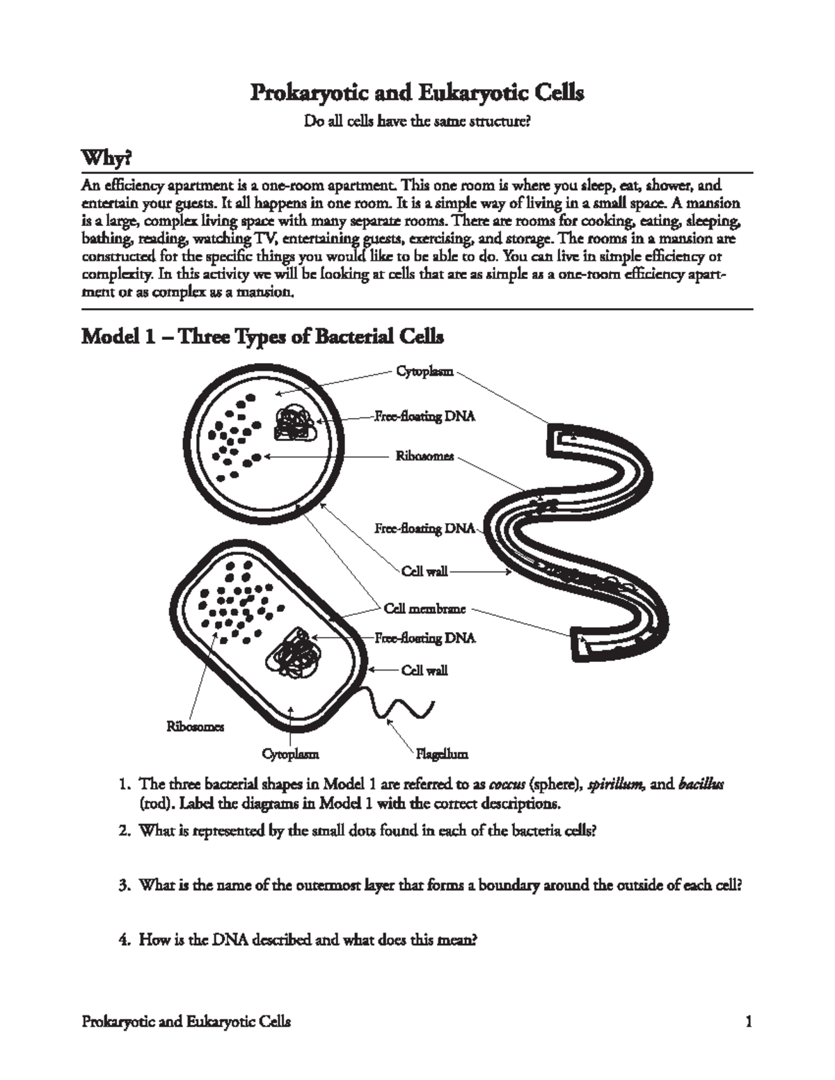 Kami Export - Natalie Perez - 7Prokaryoteand Eukaryote Cells ...