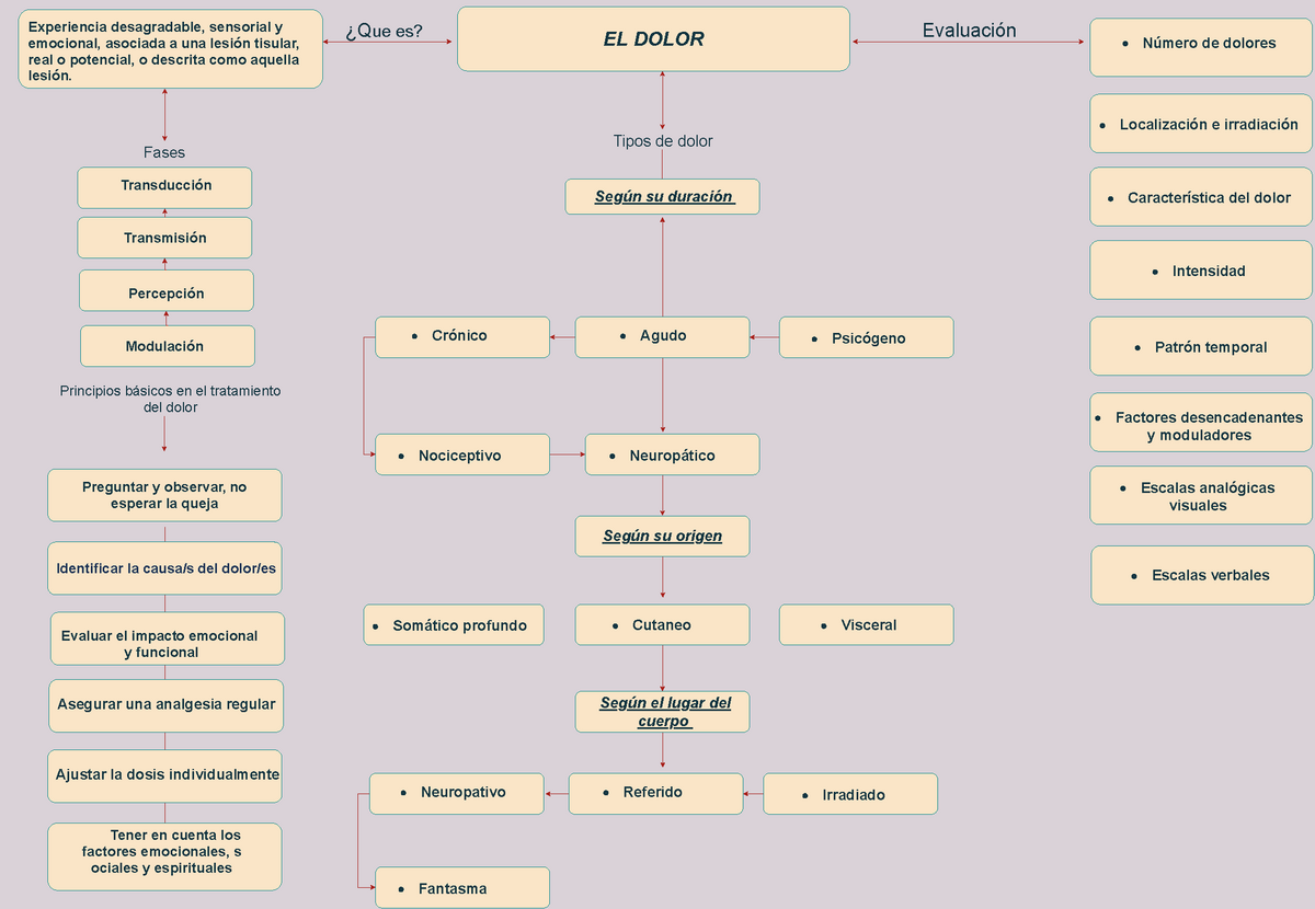 MAPA CONCEPTUAL DEL DOLOR - Experiencia desagradable, sensorial yemocional,  asociada a una lesión - Studocu
