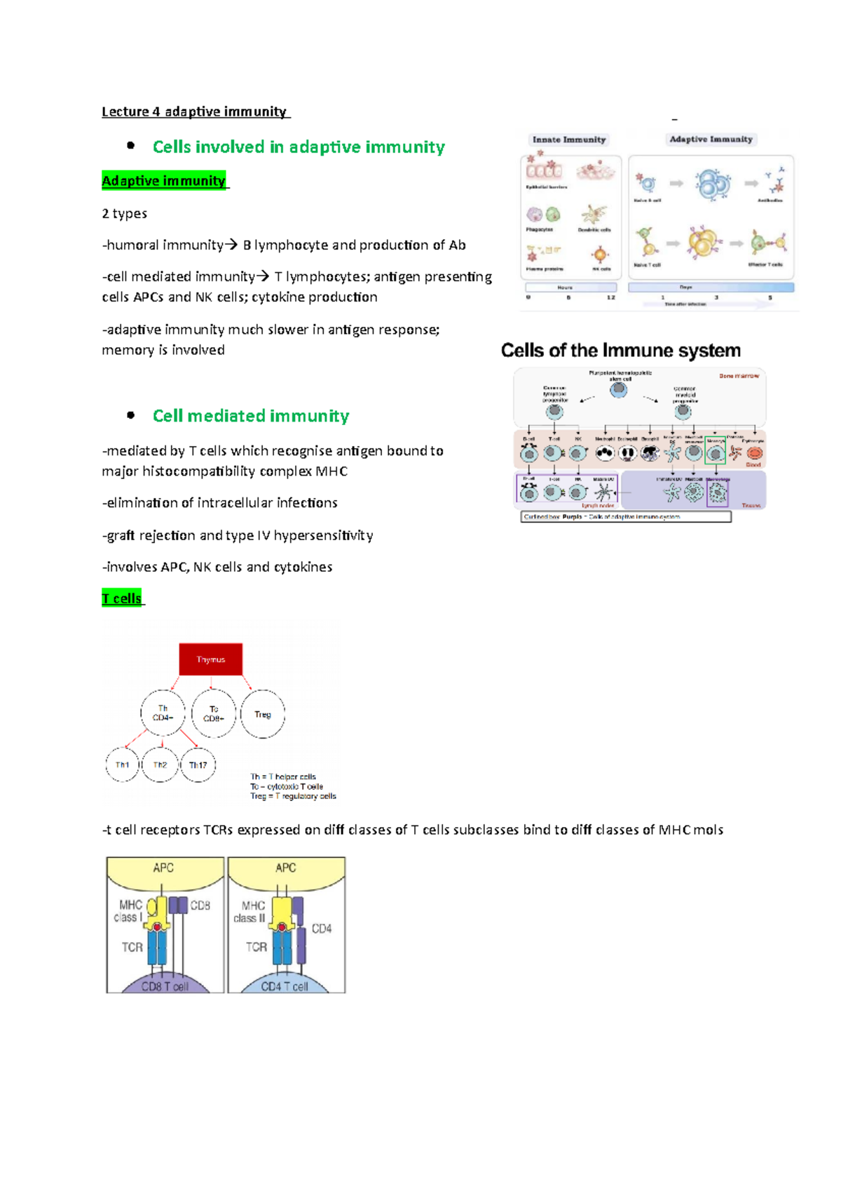 Lecture 4 Adaptive Immunity - Lecture 4 Adaptive Immunity Cells ...