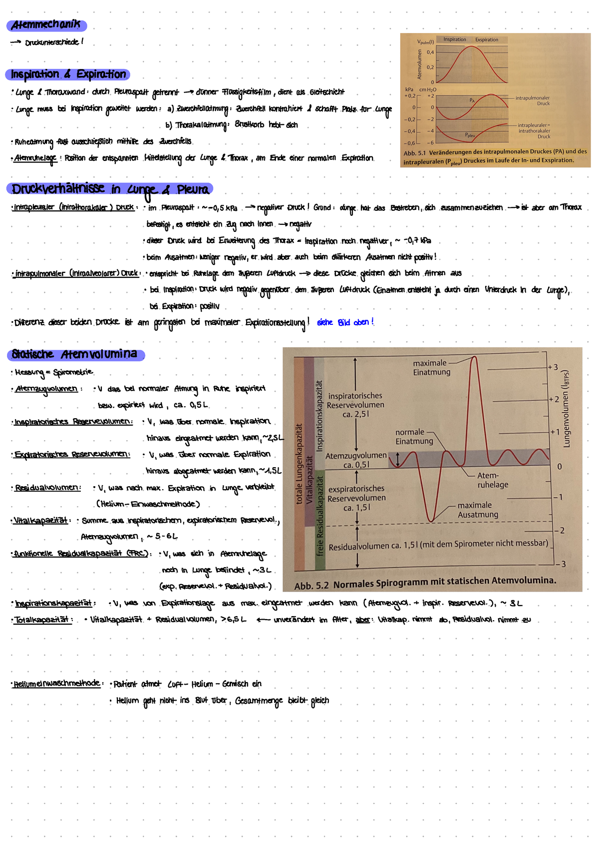 Organphysiologie: Atmung - Atemmechanik -> Druckunterschiede ...