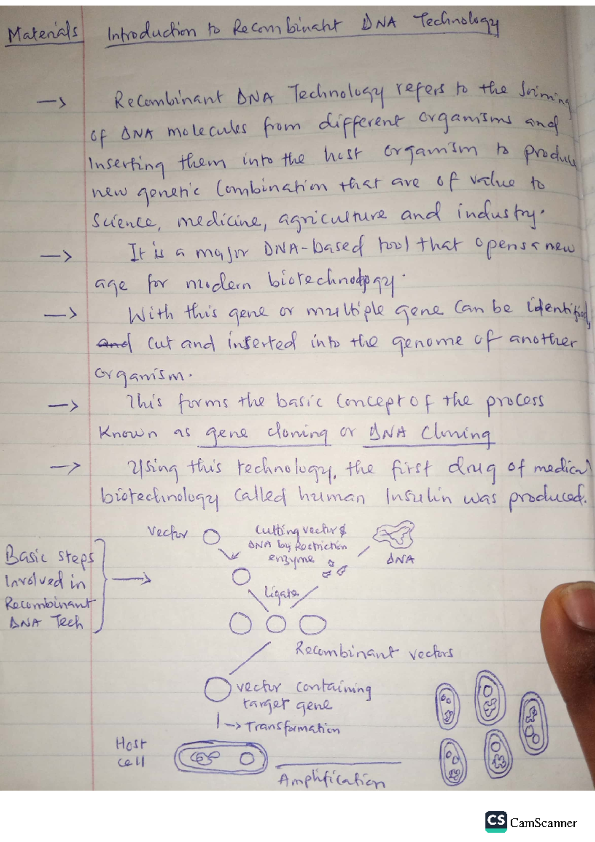 Bio 206 complete notes - Biology - Studocu