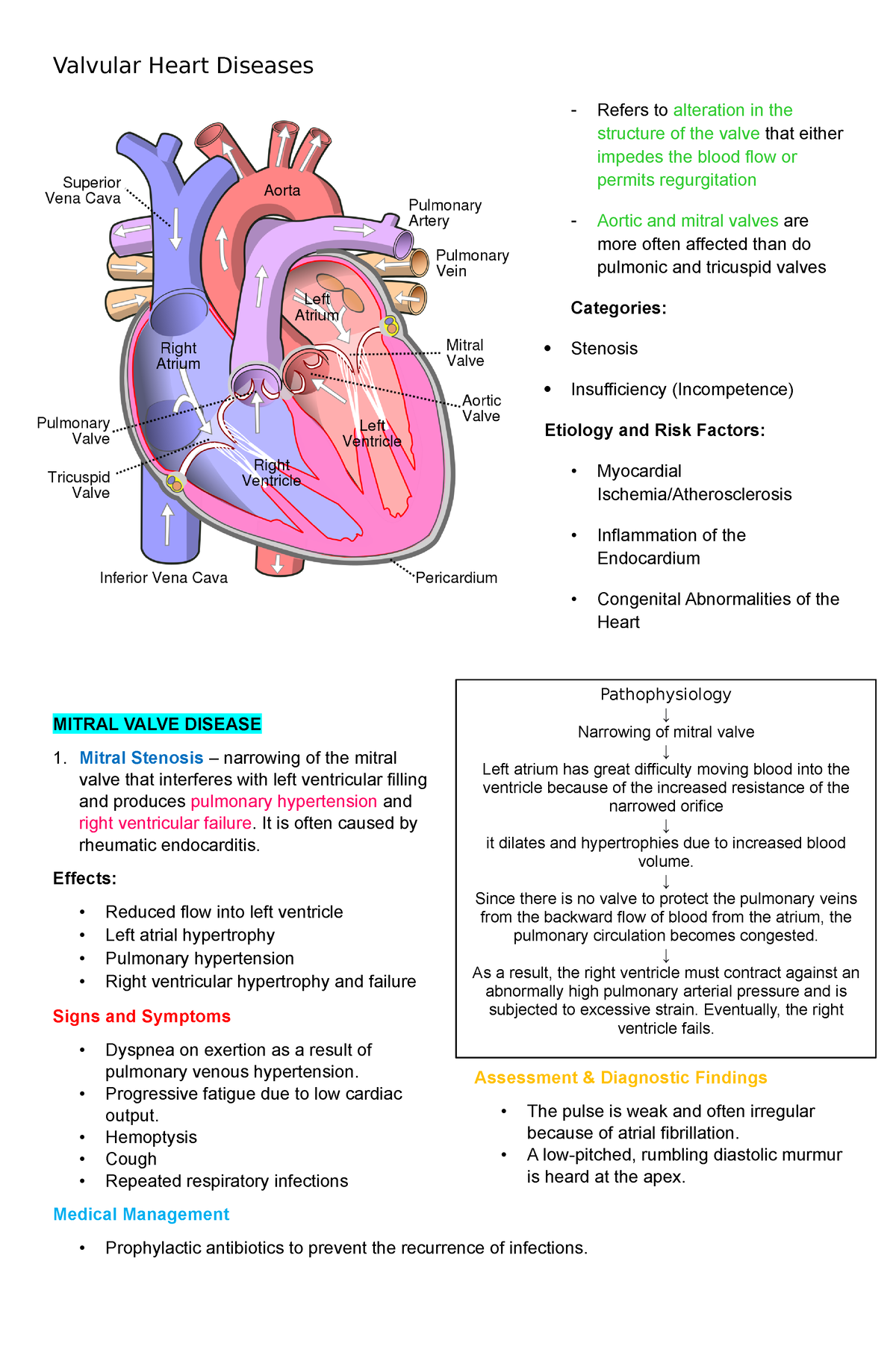 Valvular Heart Diseases - It is often caused by rheumatic endocarditis ...