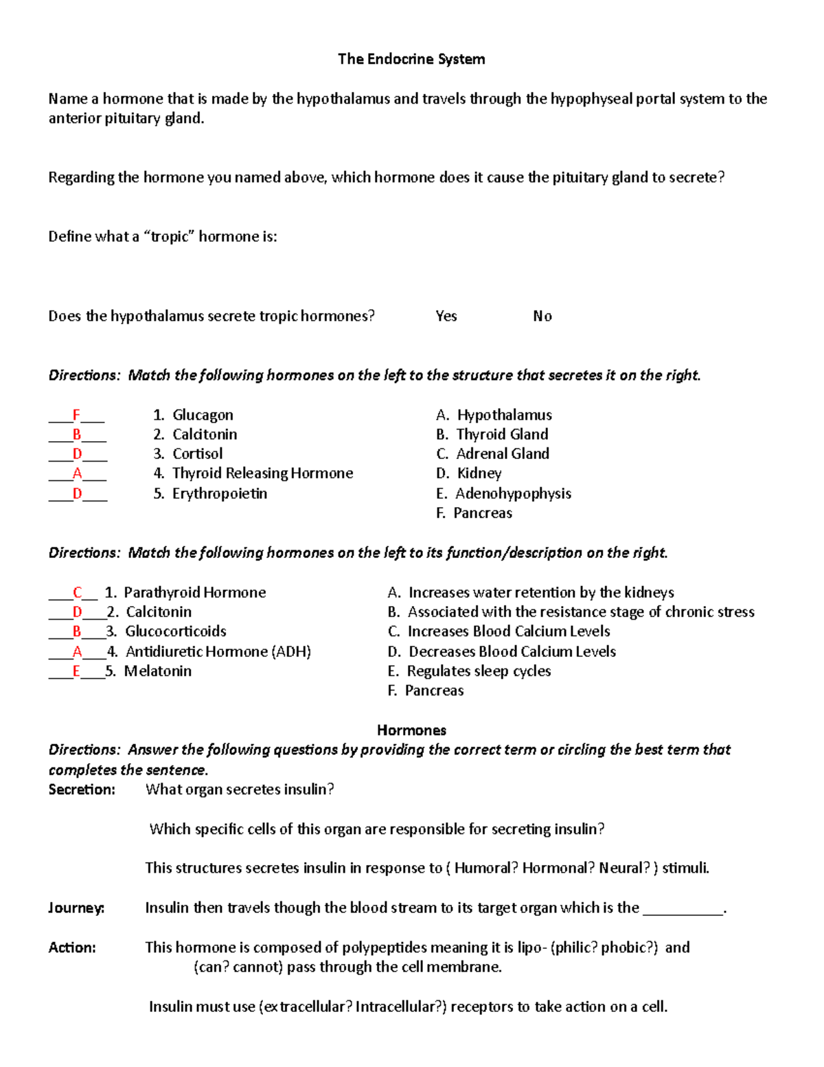 1222 - Unit 1 - Review Worksheet - Answers - The Endocrine System Name ...