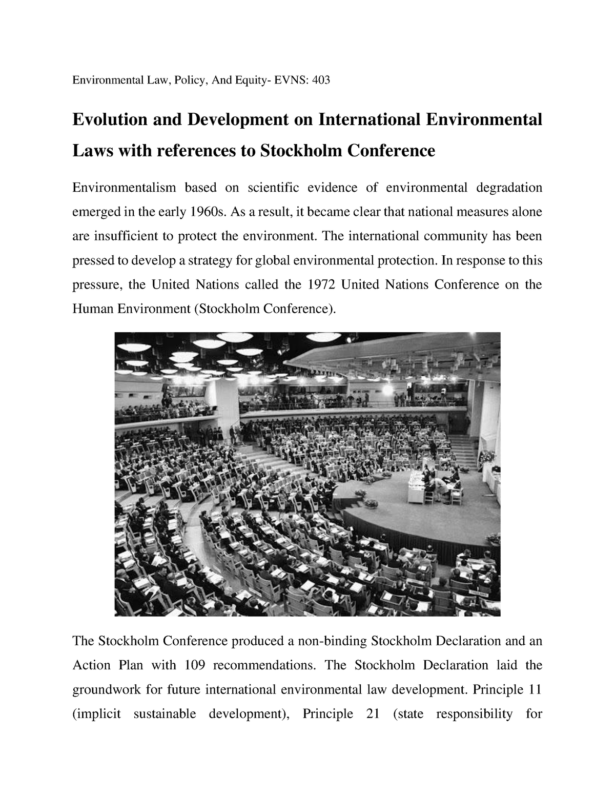 日本限定モデル Evolution of Environmental International 