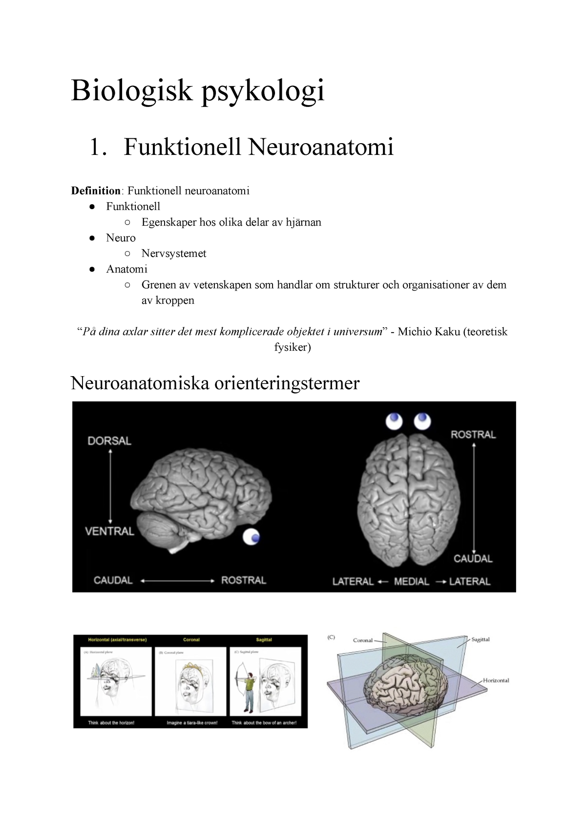 Biologisk Psykologi - Samlat Dokument Föreläsningsanteckningar ...