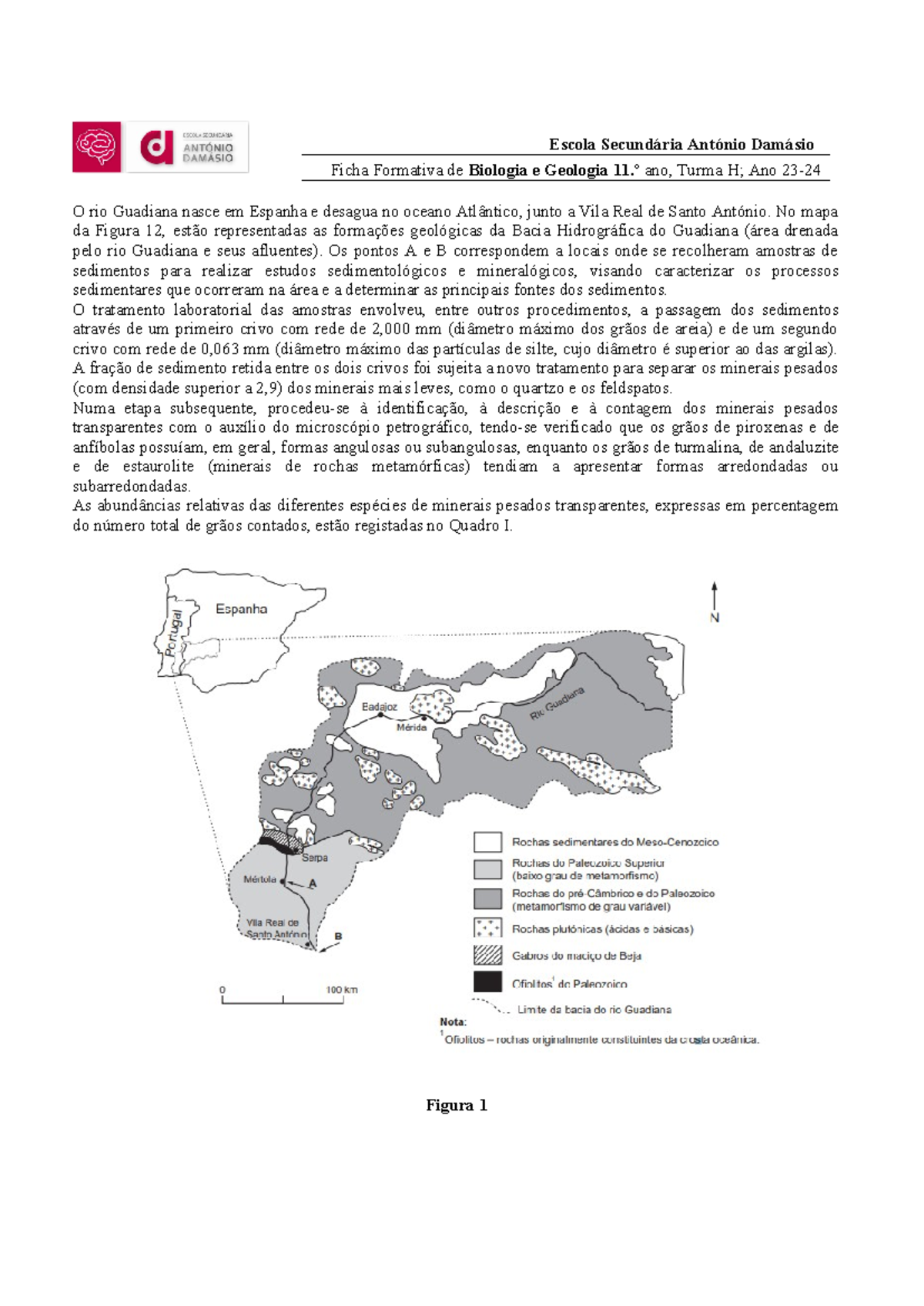 Ficha Rochas Sedimentares - Escola Secundária António Damásio Ficha ...