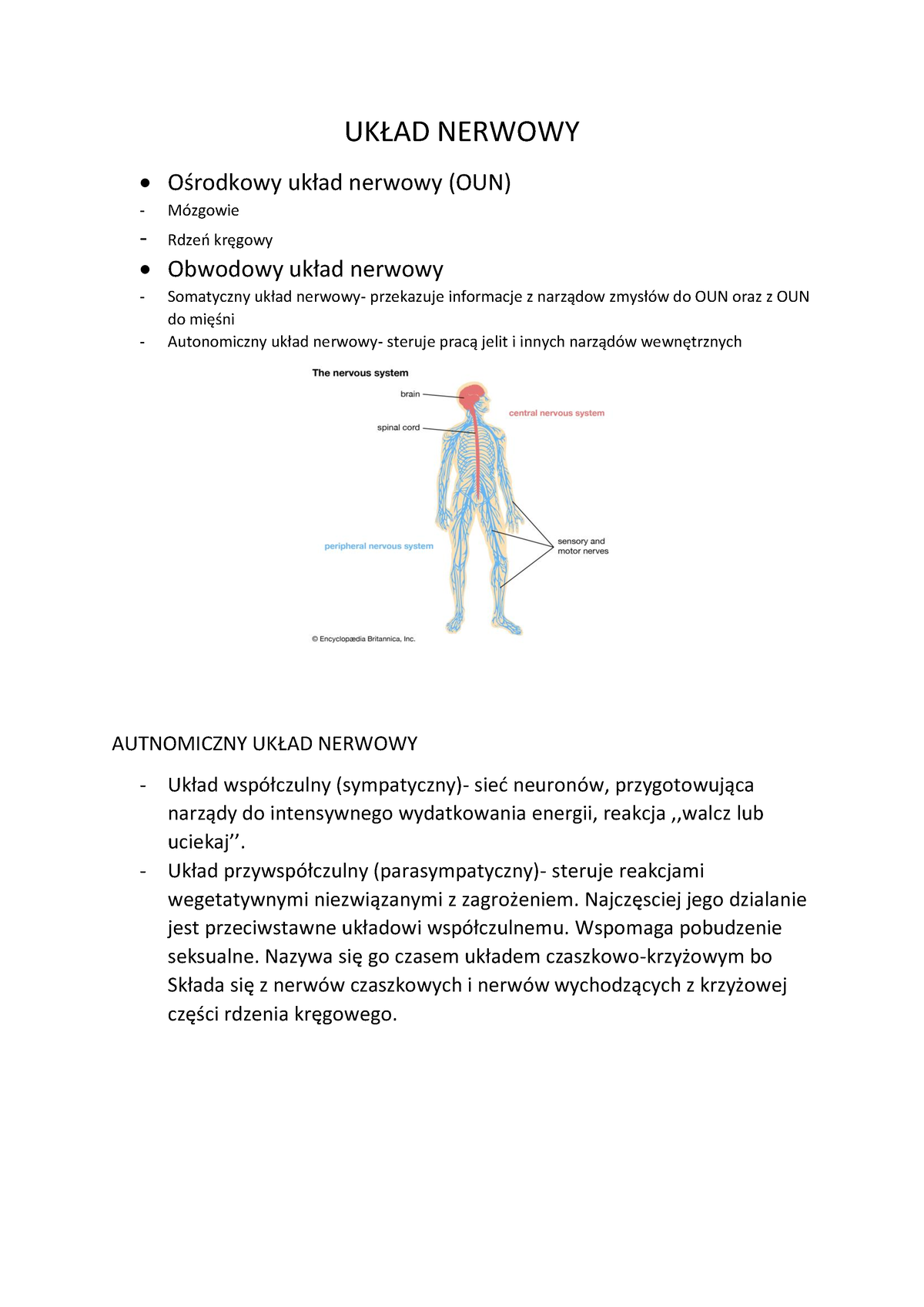 James Kalat R Anatomia I Metody Badawcze Uk Ad Nerwowy O Rodkowy