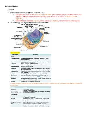 Bio 211 Final Study Guide - Bio 211 Final Study Guide Bonds and water o ...