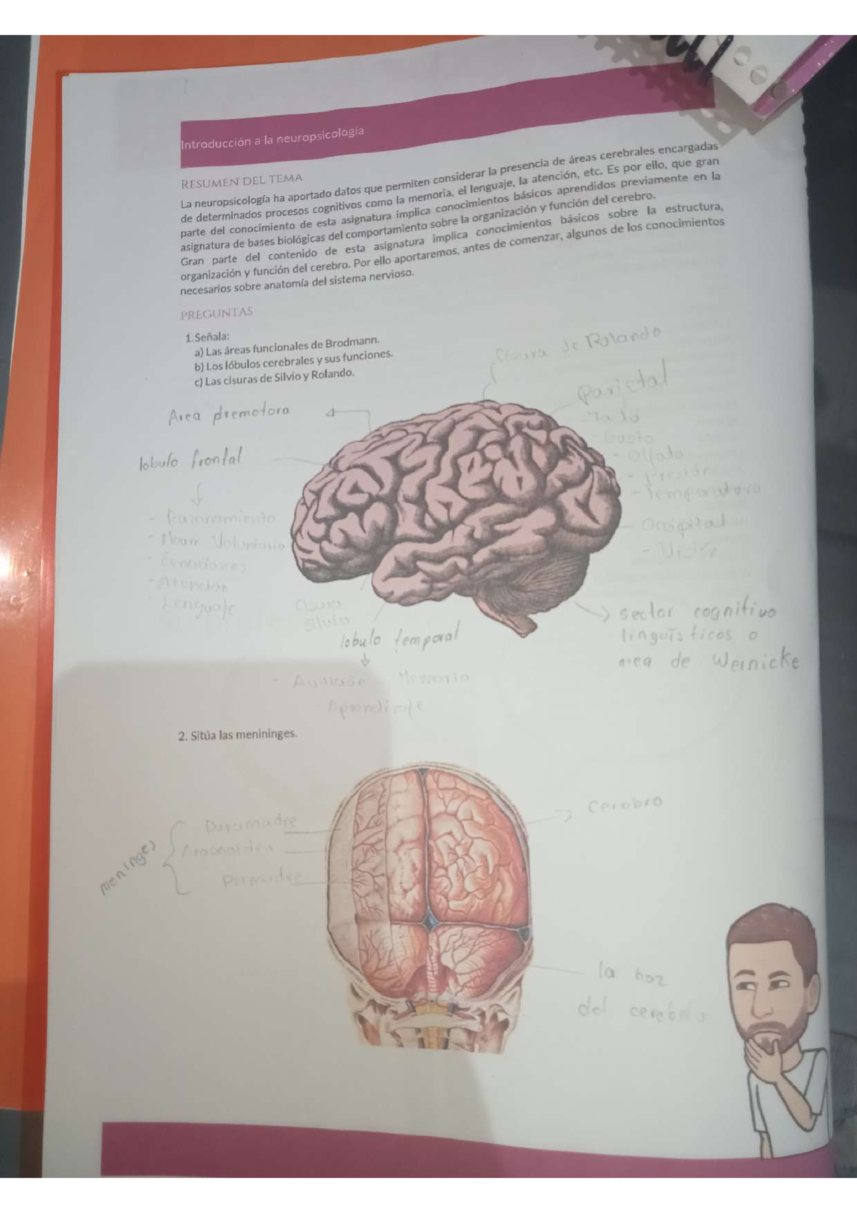 Cuadernillo De Neuropsicología - Neuropsicologia - Studocu