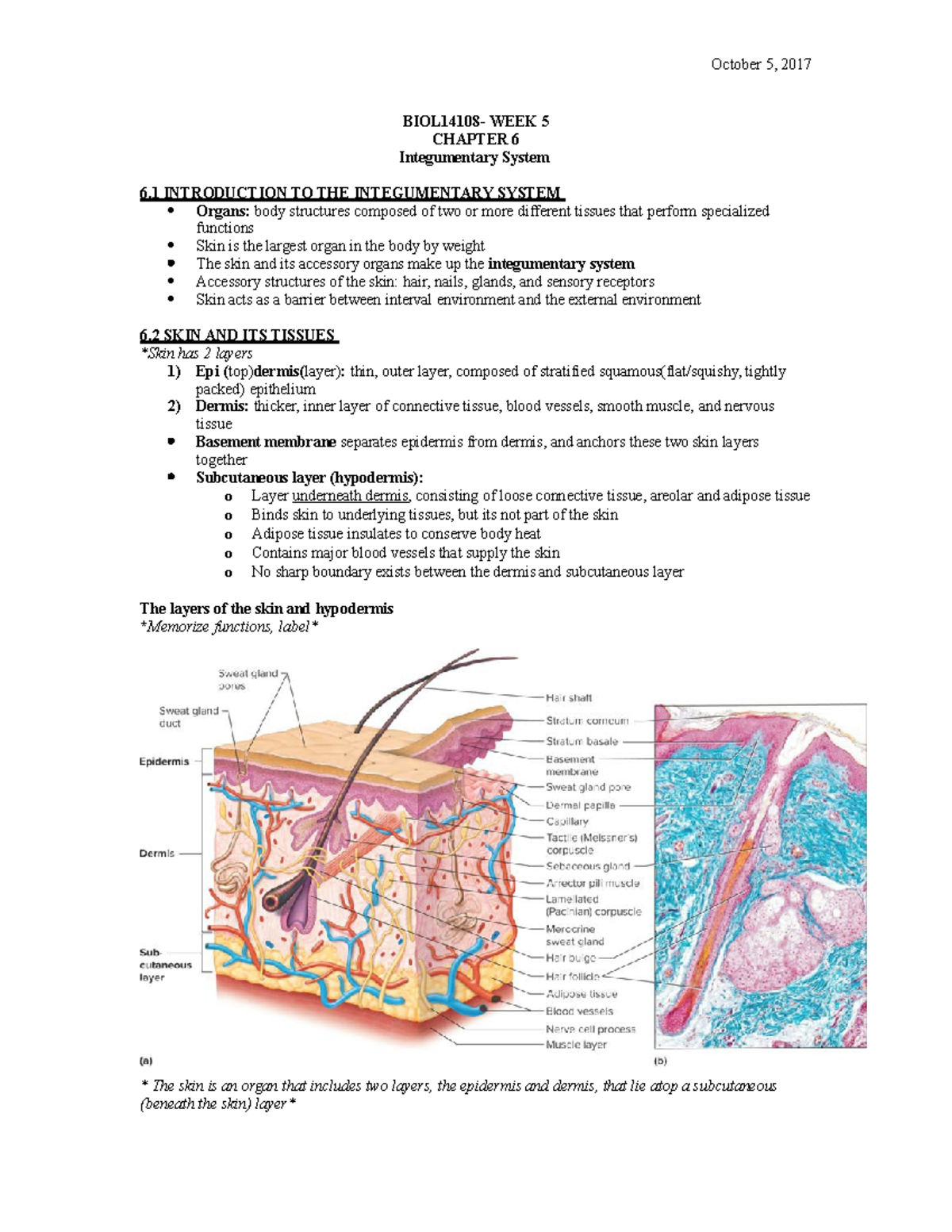 BIOL14108- WEEK 5 - Lecture notes 5 - BIOL14108- WEEK 5 CHAPTER 6 ...