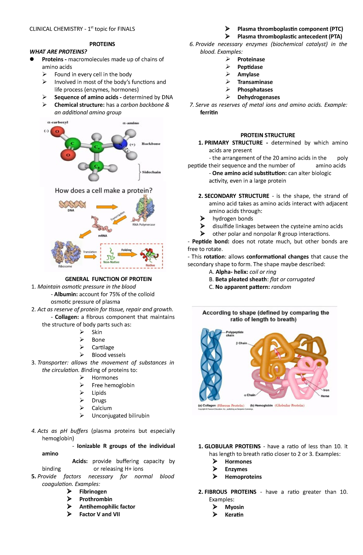 assignment on proteins in chemistry