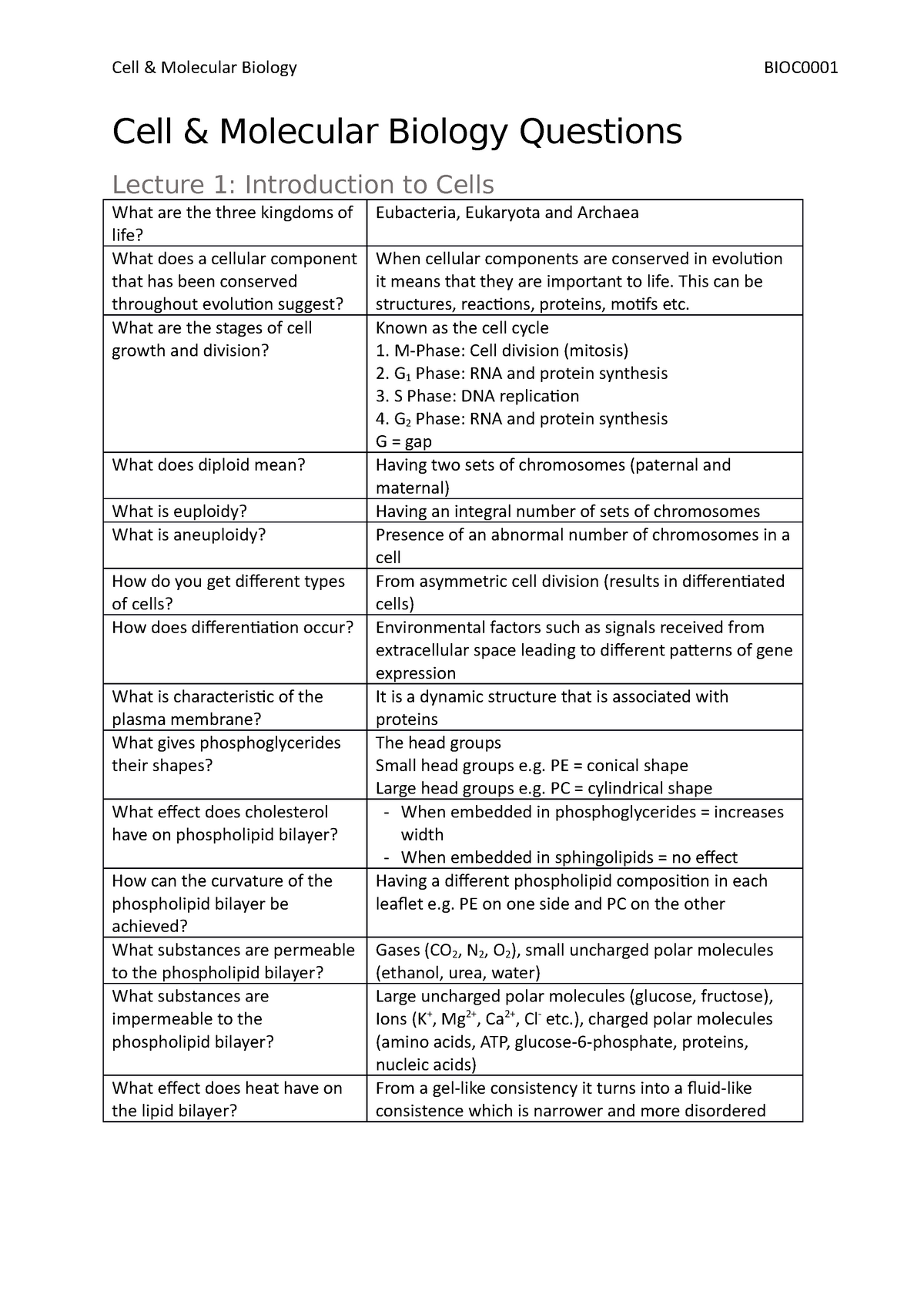 essay questions on molecular biology