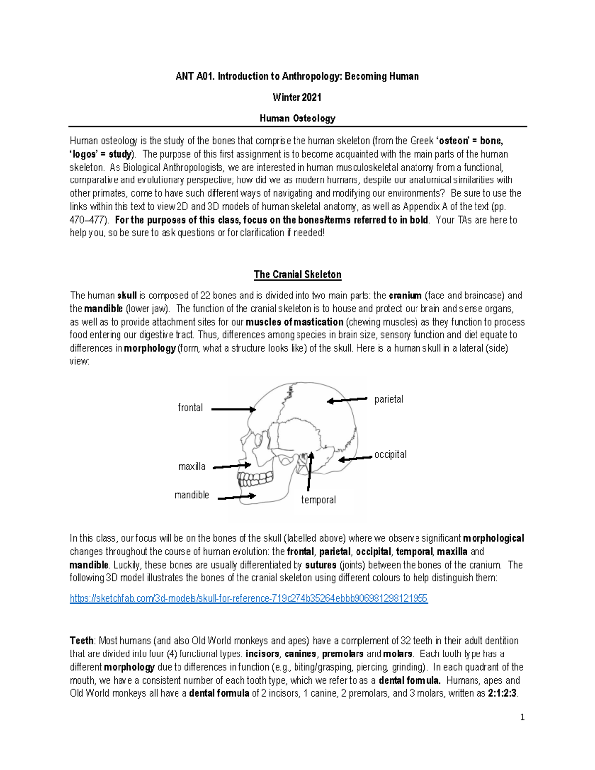 ANT A01Tutorial 1 Handout - ANT A01. Introduction To Anthropology ...