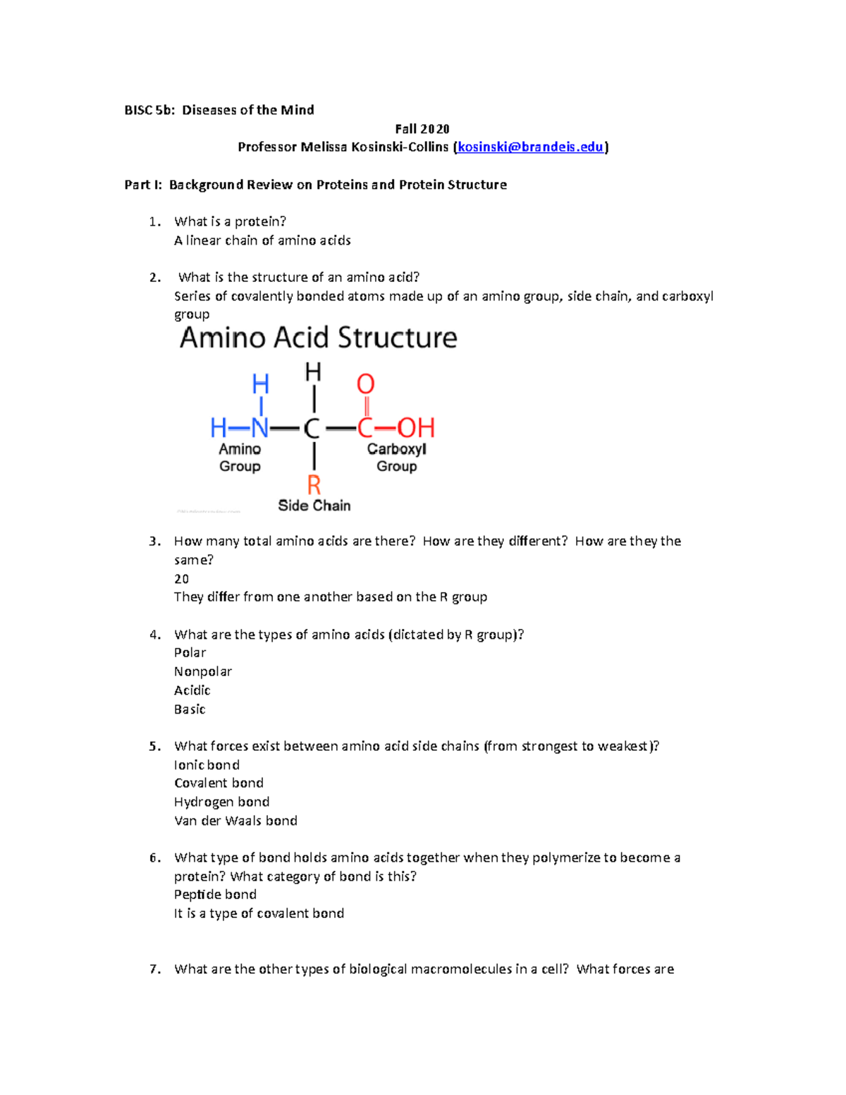 protein-structure-worksheet-bisc-5b-diseases-of-the-mind-fall-2020-professor-melissa-studocu