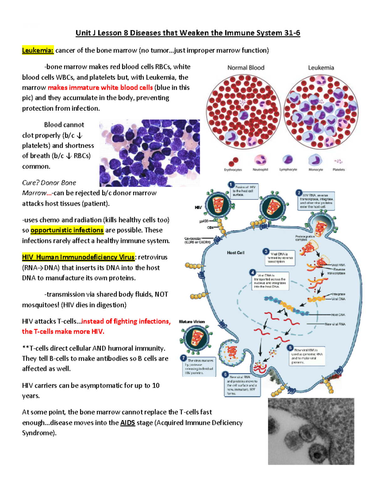 Unit+I+Lesson+8+Diseases+that+Weaken+the+Immune+System - Van Buren Unit ...