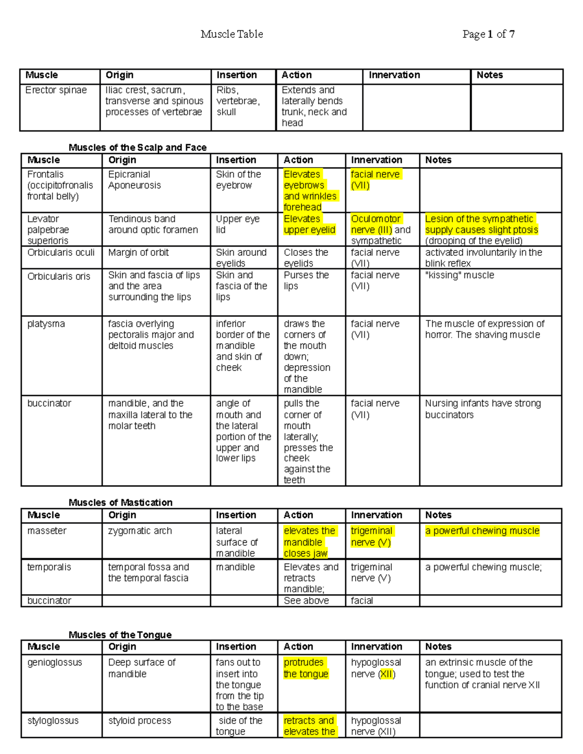 Body Muscle Origin And Chart And Action Antagonist