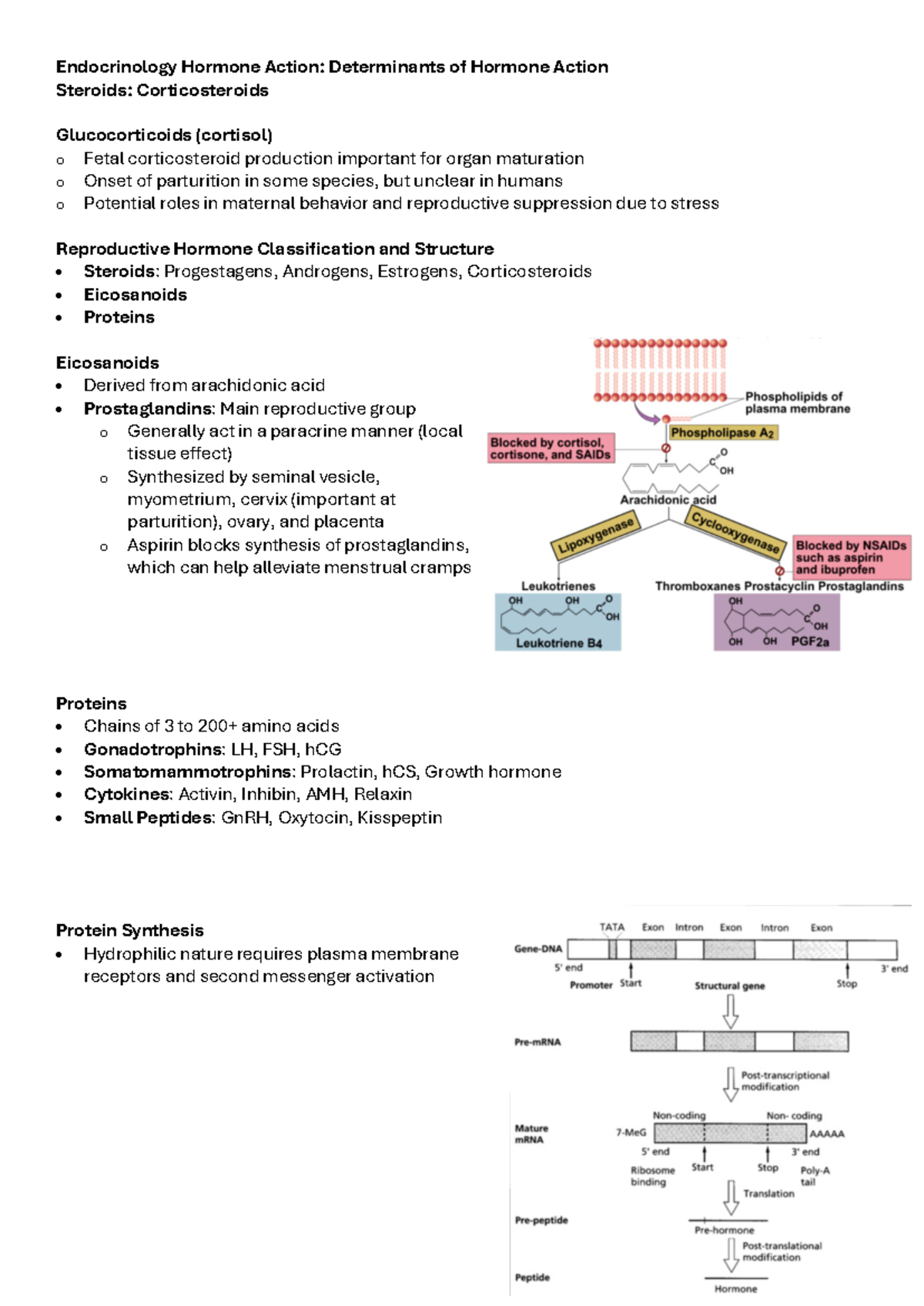 Endocrinology II - Endocrinology Hormone Action: Determinants of ...