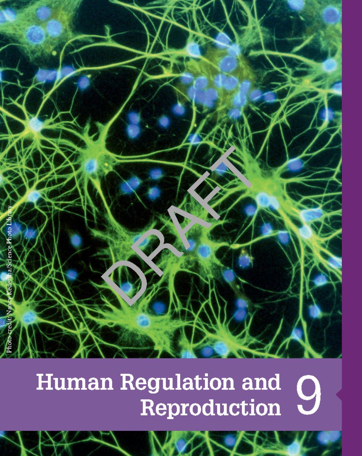 Human Regulation and Reproduction - Human Regulation and Reproduction 9 ...