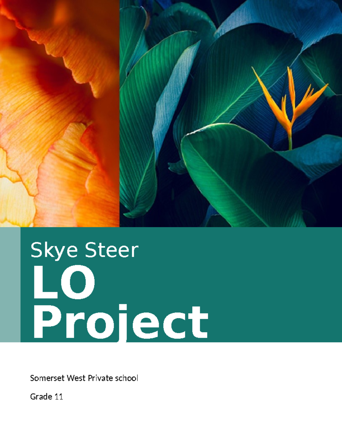 Skye Steer Gr11 LO term 3 Project - Skye Steer LO Project Somerset West ...