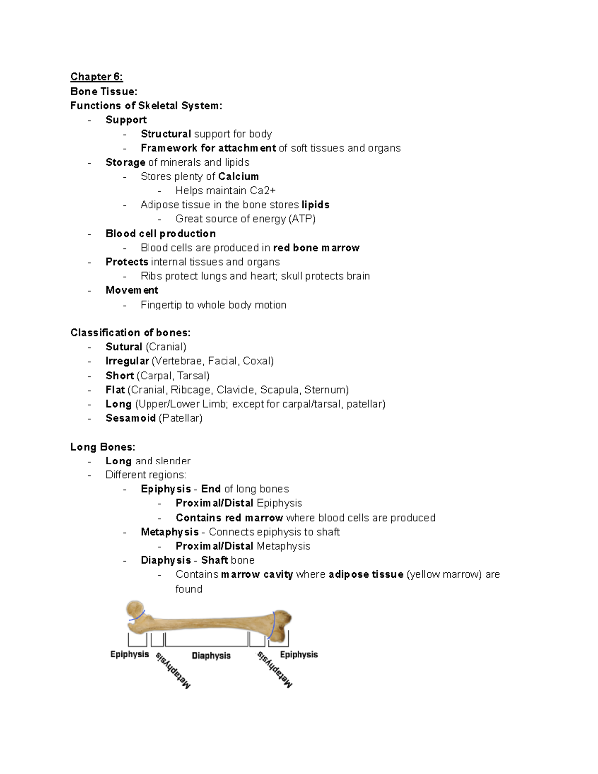 Anatomy And Physiology Lecture Chapter 6 - Deprecated API Usage: The ...