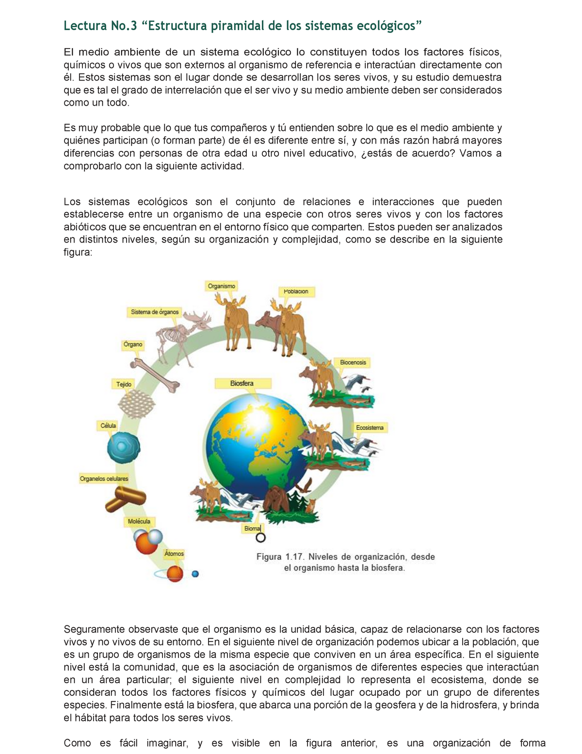 Lectura No 3 Estructura Piramidal De Los Sistemas Ecologicos Studocu