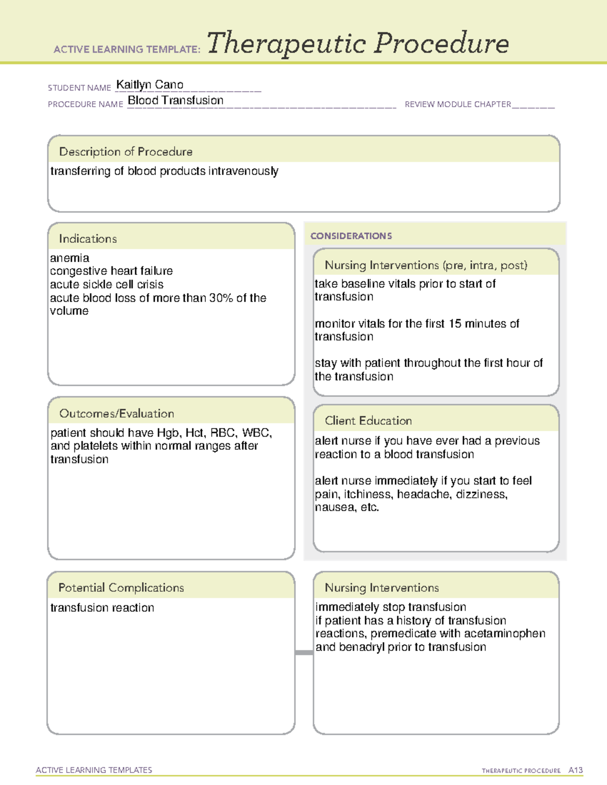 A Template 4 - ACTIVE LEARNING TEMPLATES THERAPEUTIC PROCEDURE A ...