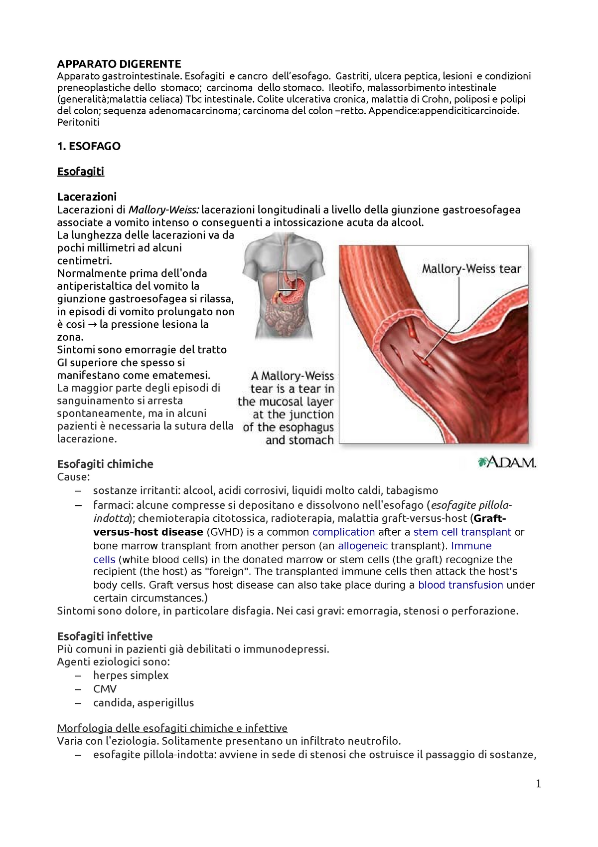 Appunti Su Apparato Digerente Anatomia Patologica 1 Aa