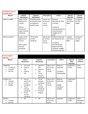 Upper Extremity Muscle Cheat Sheet - Shoulder/Neck/ Back PA DA Movement ...