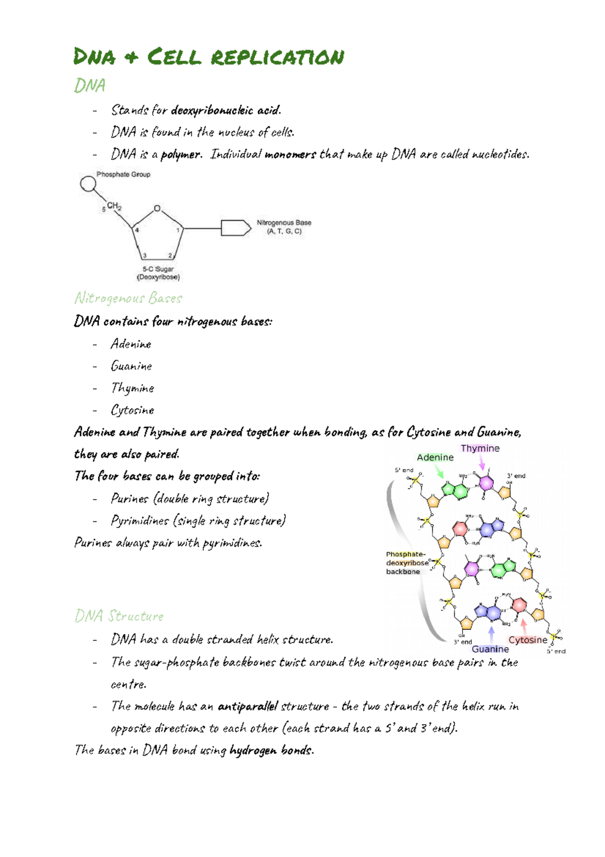 DNA and Cell replication DNA Stands for deoxyribonucleic acid. DNA is