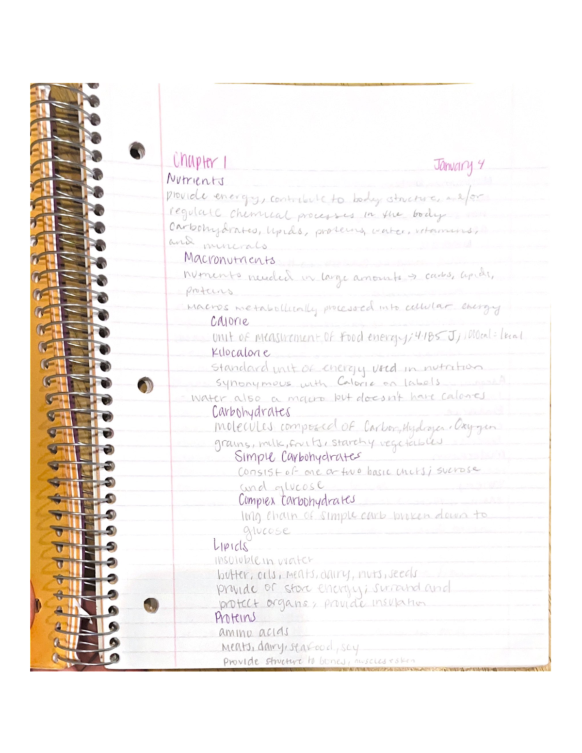 Chapter 1 -4 Notes - Chapter I January 4 Nutrients provide energy ...