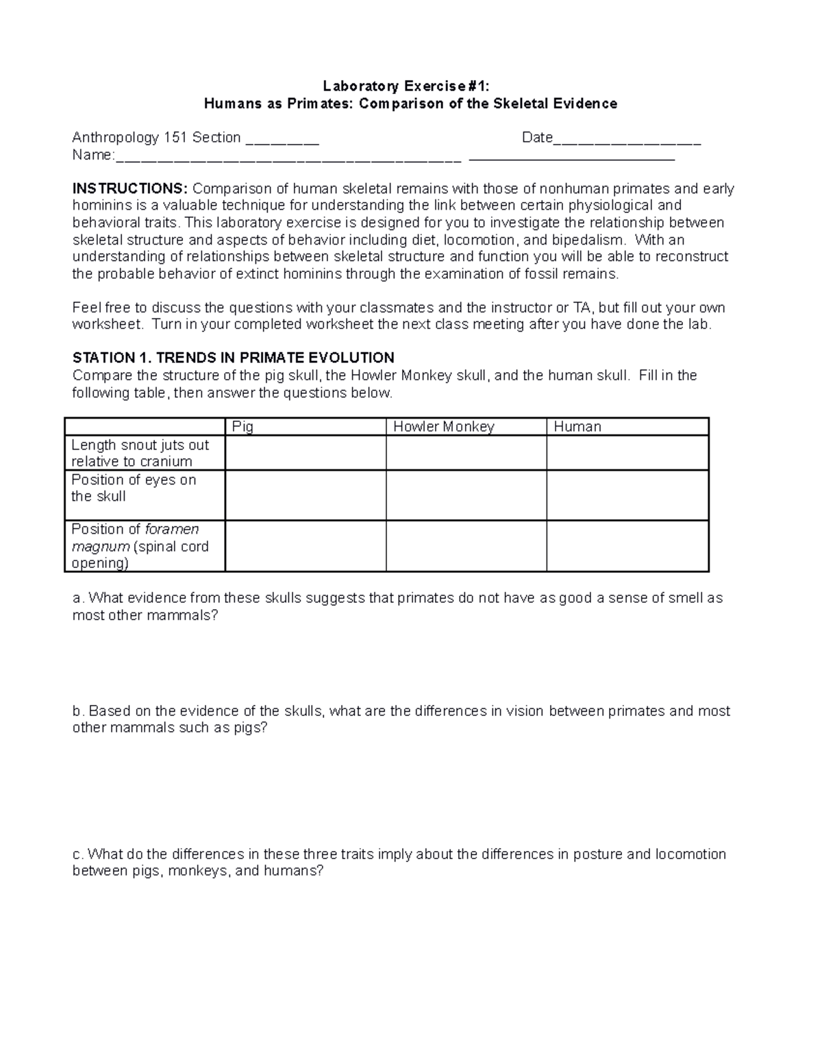 Exercise 1 Humans as Primates Comparison of the Skeletal Evidence ...