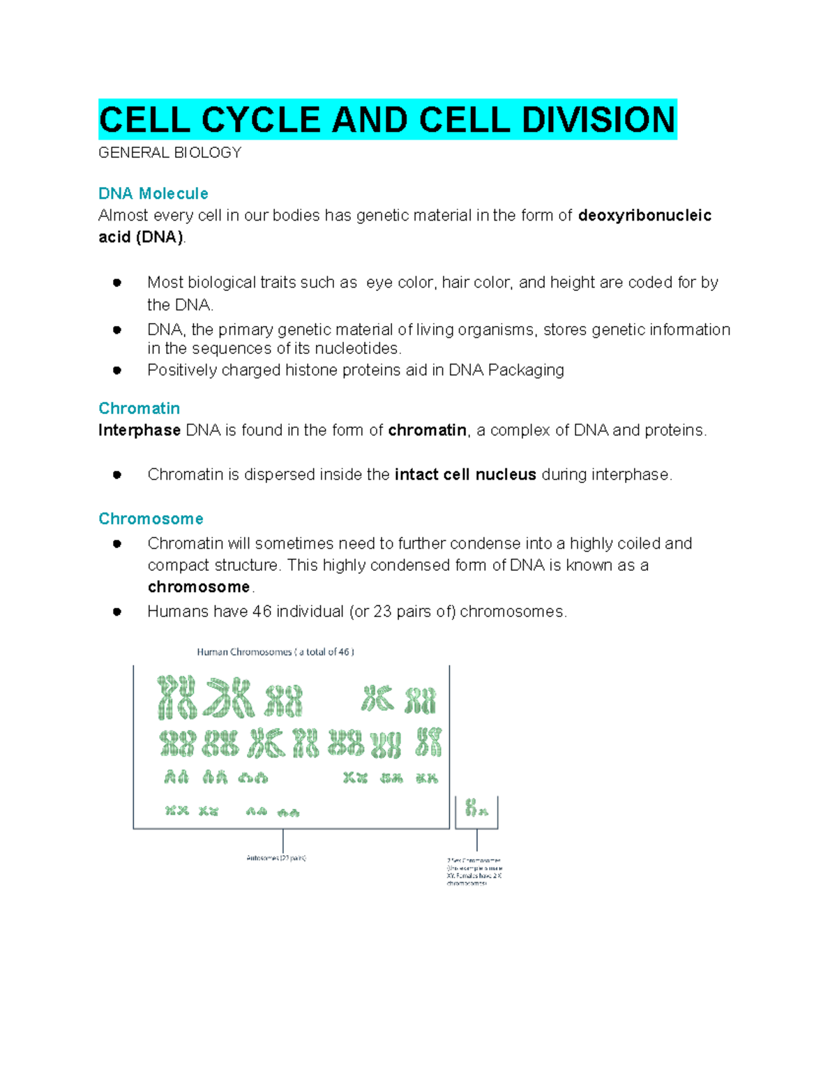 CELL Cycle AND CELL Division Study Guide - CELL CYCLE AND CELL DIVISION ...