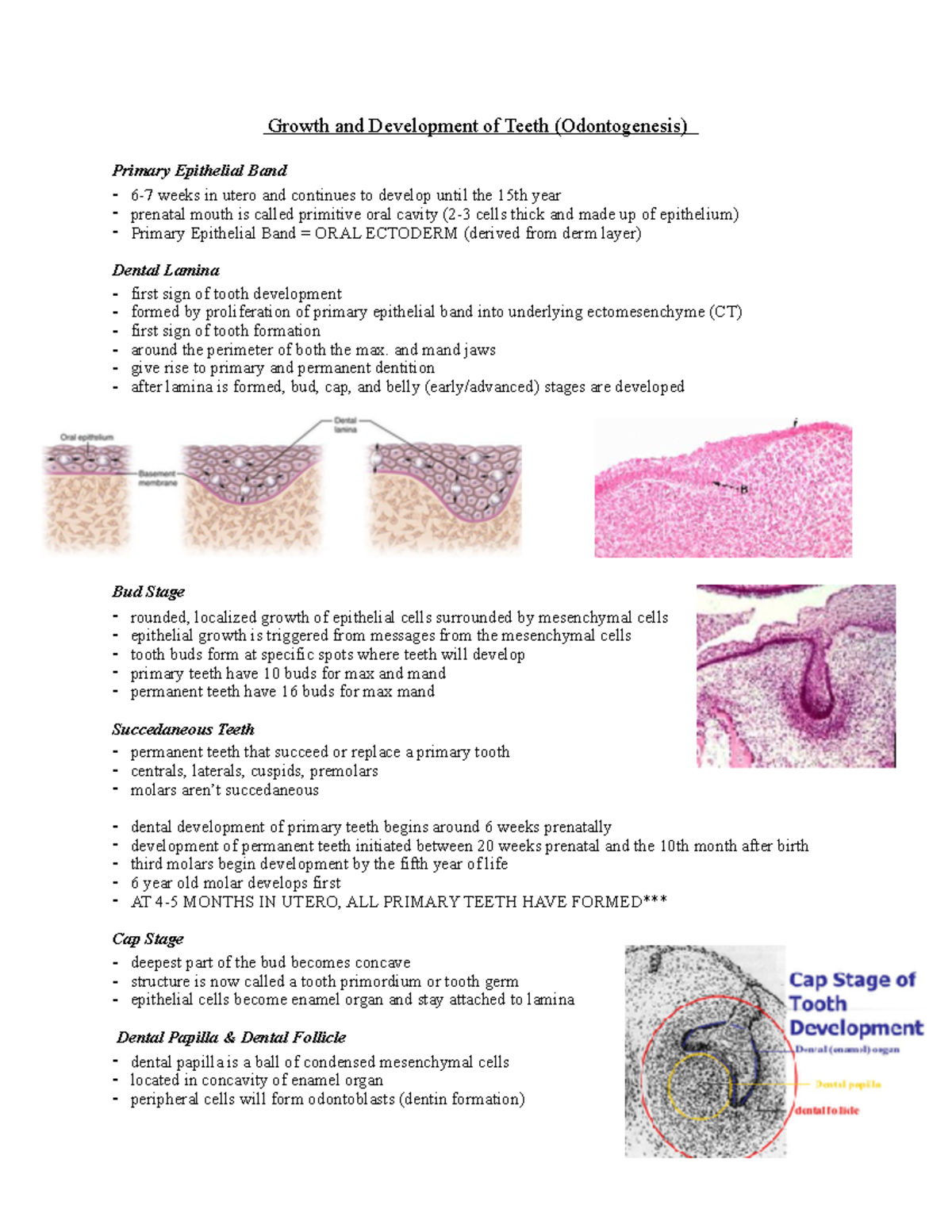 Growth And Development Of Teeth (Odontogenesis) - And Mand Jaws - Give ...