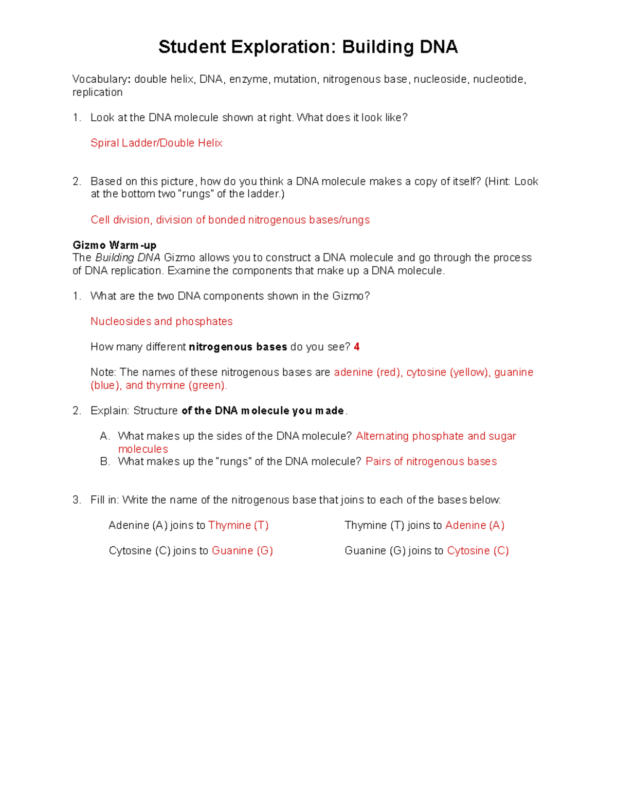 Gizmo Building DNA - N/A - Student Exploration: Building DNA Vocabulary ...