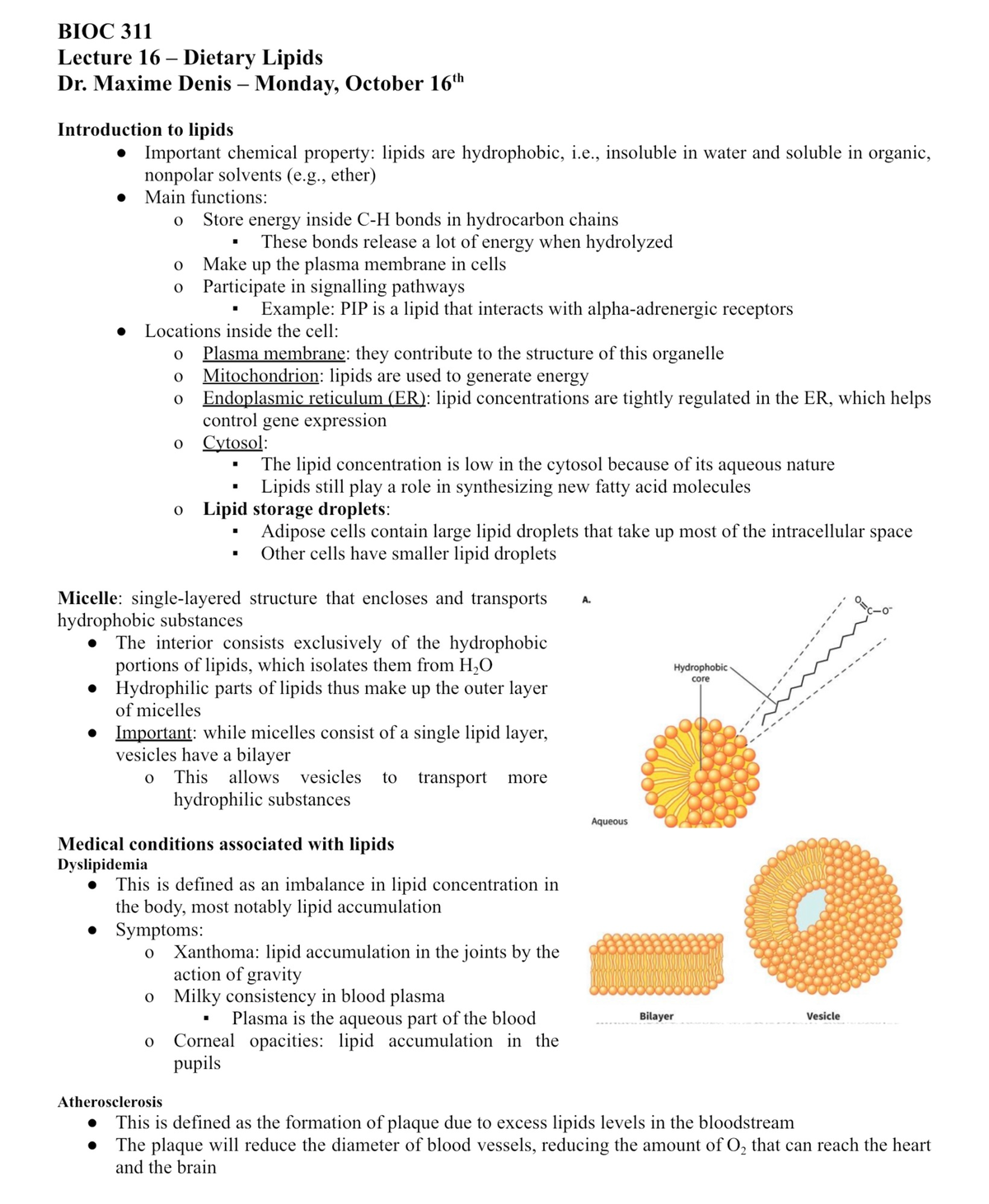 Lec 16 - Lecture 16 class NTCs - Bioc 311 - Studocu