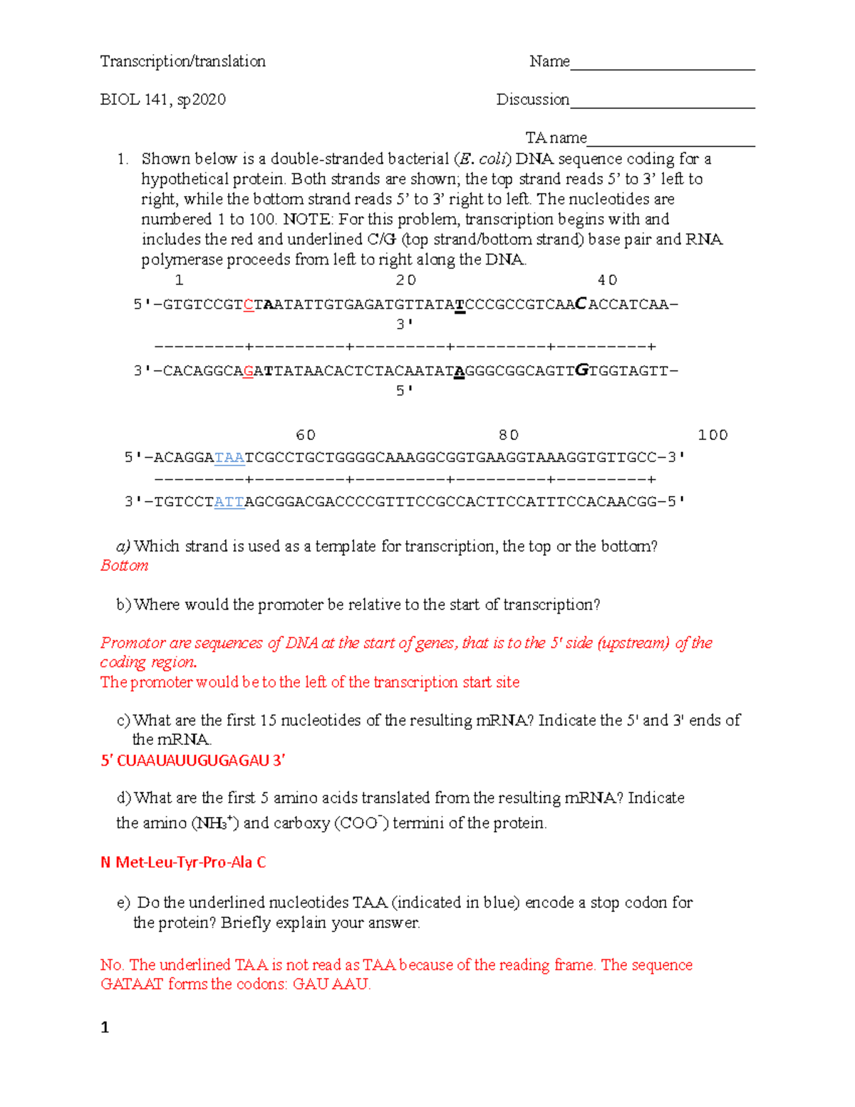 Transcription Translation Biol 141 Sp Discussion Ta Name Shown Below Is Studocu