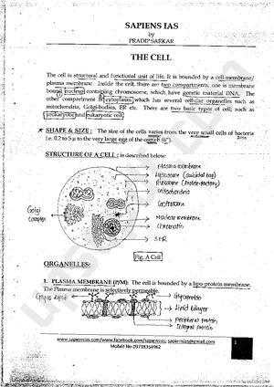 [Solved] Describe somatoscopy features instrument and techniques and ...