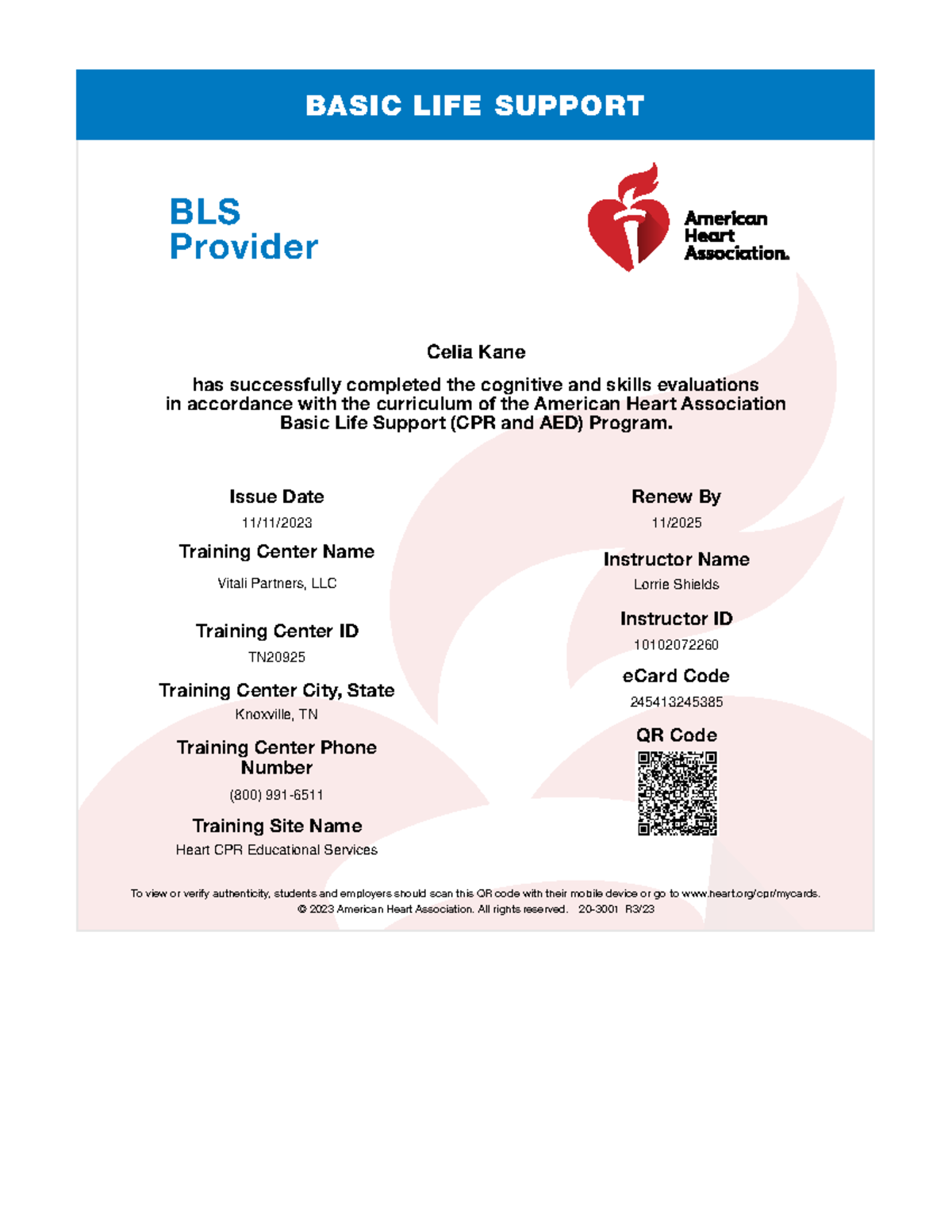 Student e Card - Takashi handy oddball - BASIC LIFE SUPPORT BLS ...