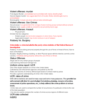 Criminal Justice Notes - Criminal Justice Notes Police on Patrol: the ...