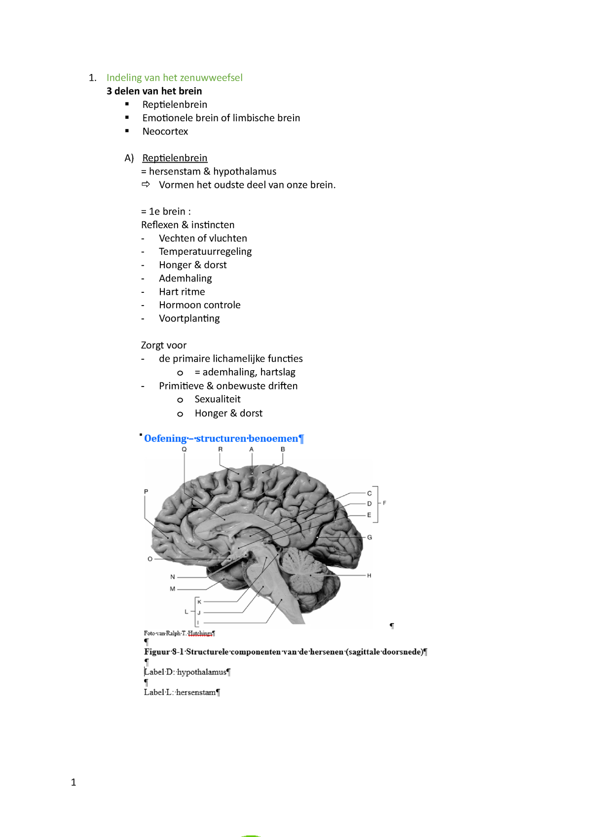 Samenvatting anatomie - Indeling van het zenuwweefsel 3 delen van het