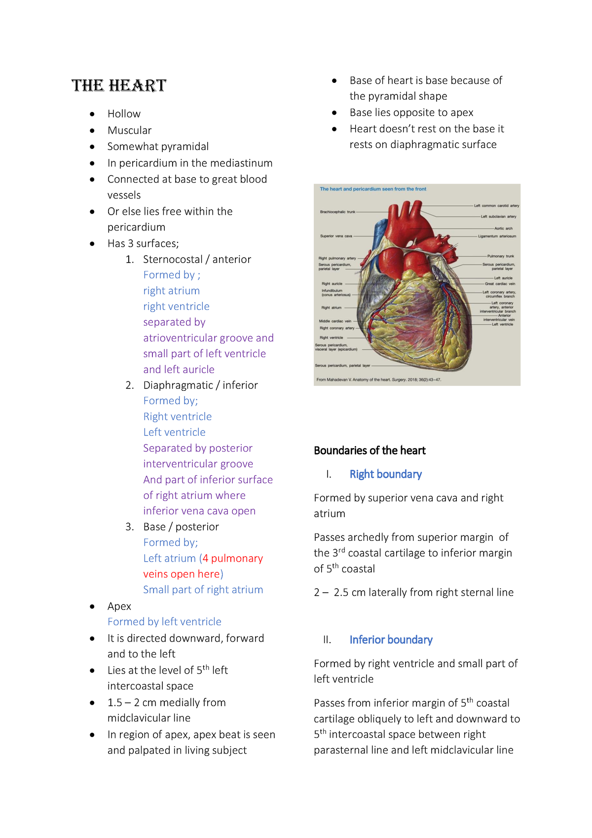 THE Heart - THE HEART Hollow Muscular Somewhat pyramidal In pericardium ...