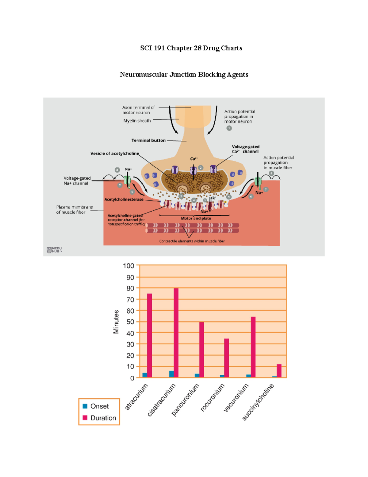 chapter-28-neuromuscular-junction-blocking-agents-answers-sci-191