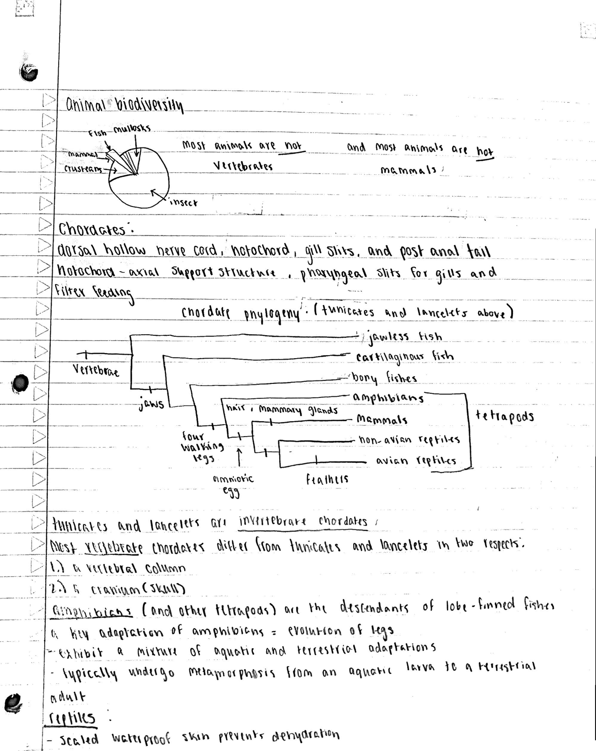 biology related coursework