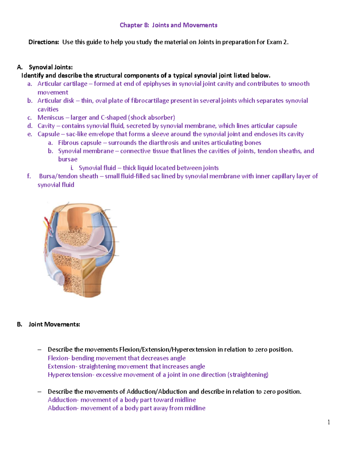 Chapter 8 Joints And Movements Study Guide - 1 Chapter 8: Joints And ...