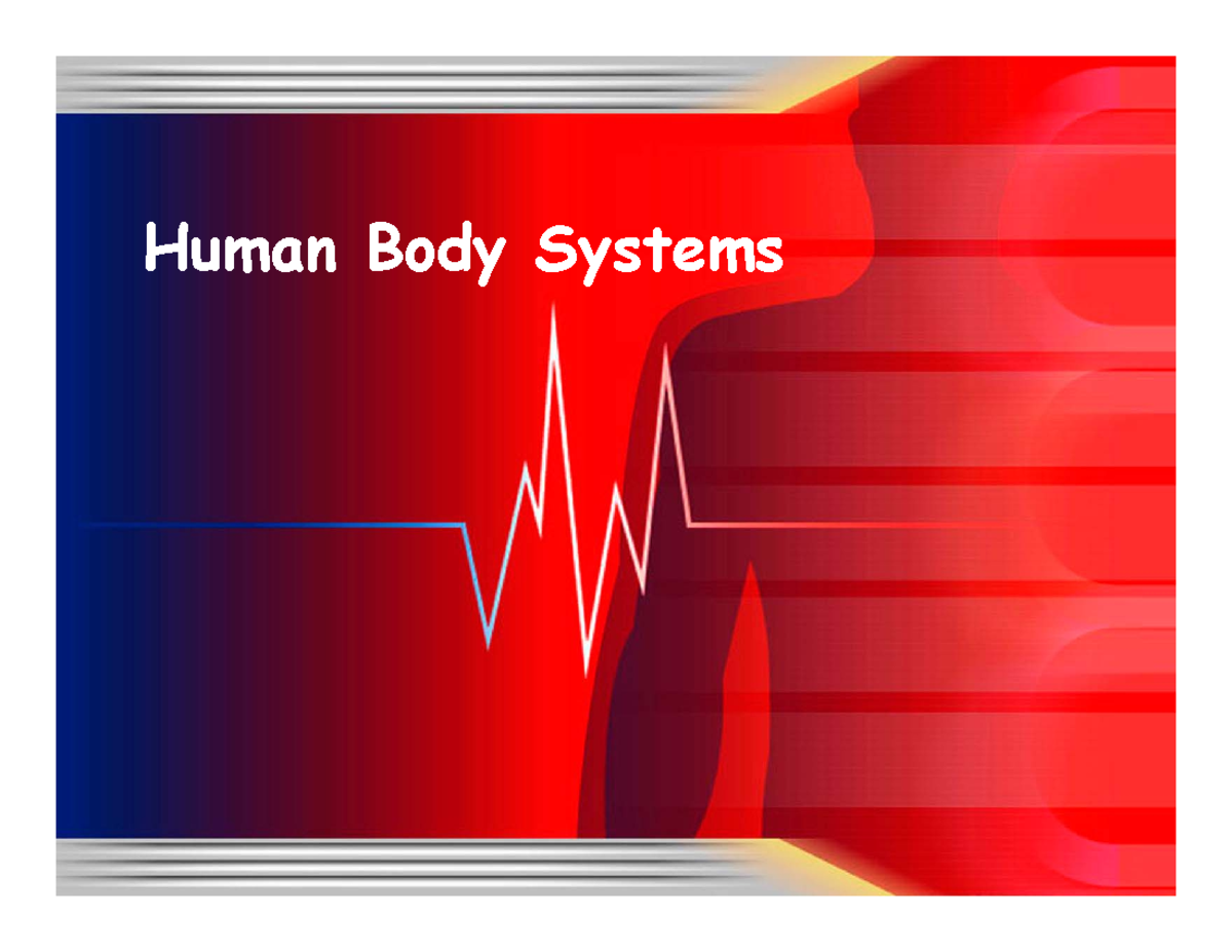 What Tissue Helps Bones Support The Body