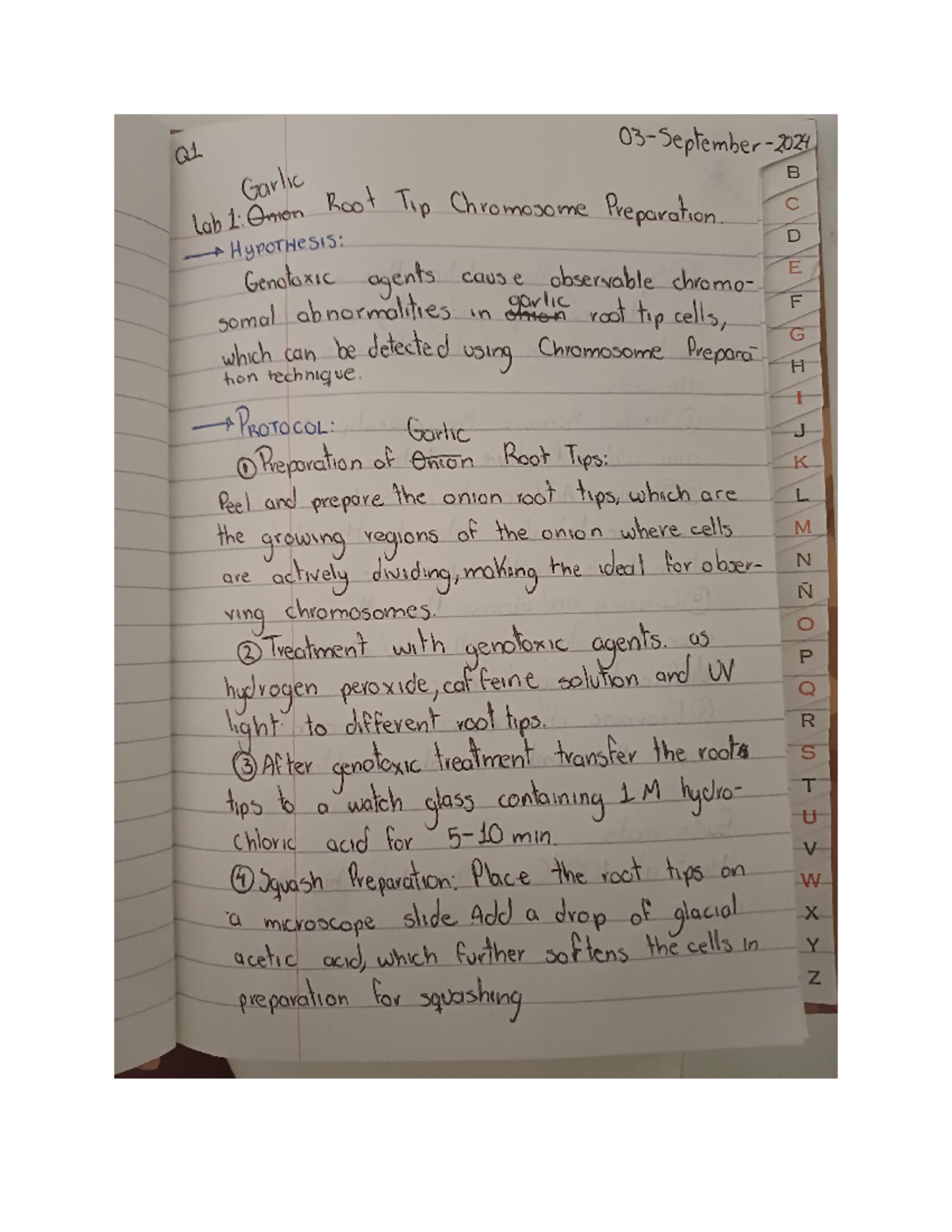 Lab notebook 1 - notas de laboratorio - Q1 September Garlic B lab 1 ...